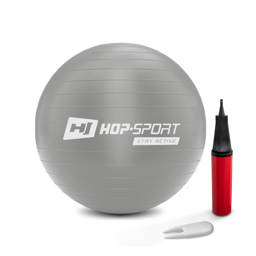 Купити Фітбол  Hop-Sport 45cm HS-R45YB silver + насос у Києві - фото №1
